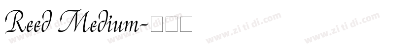 Reed Medium字体转换